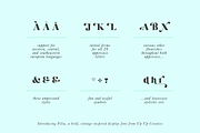Filia Display Font, a Serif Font by Up Up Creative (Thumbnail 5 of 12)