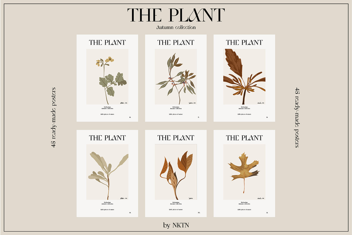 The PLANT. Autumn collection, a Pattern Graphic by NKTN (Photo 14 of 18)