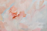Abstract peach and pink strokes creating soft floral shapes on c, a Photo by Studio ANNA (Thumbnail 2 of 2)