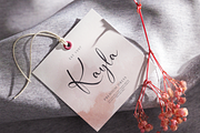 Raeylisse | Handwritten Script, a Script Font by gracetype_studio (Thumbnail 4 of 12)