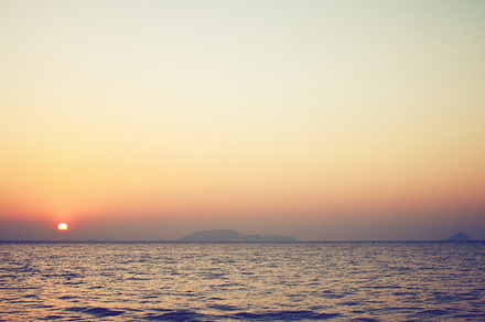 Coconut Palm Tree With Sunrise preview 6