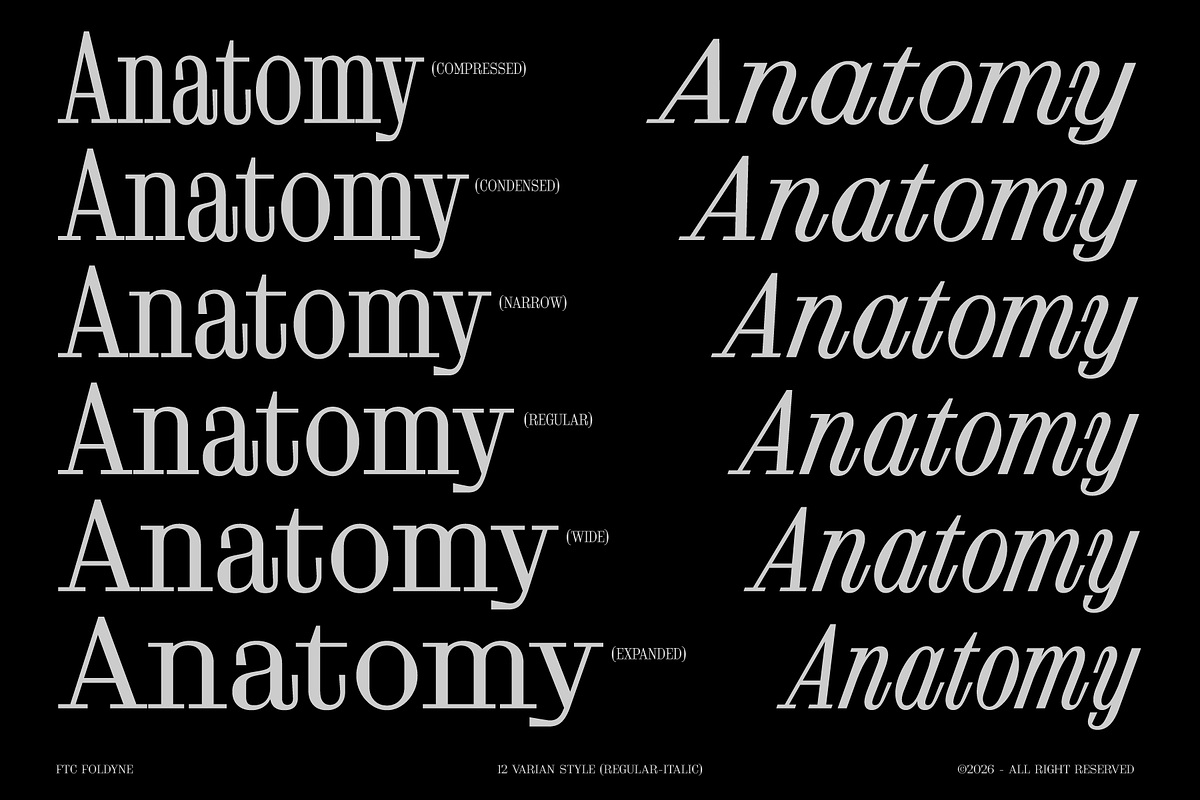 FTC Foldyne, a Serif Font by Fridaytype (Photo 2 of 12)