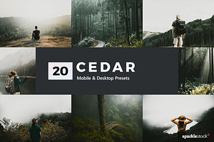 Cedar Lightroom Presets & LUTs