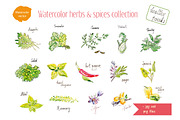 Watercolor herbs & spices collection, a Graphic by miminoshka (Thumbnail 2 of 9)