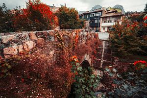 Cabrales stone bridge in autumn, an Architecture Photo by SkyNext