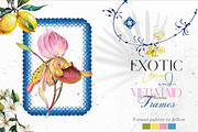 The Exotic Lemon Collection, an Object Illustration by Alisa Mikibith Art (Thumbnail 7 of 18)