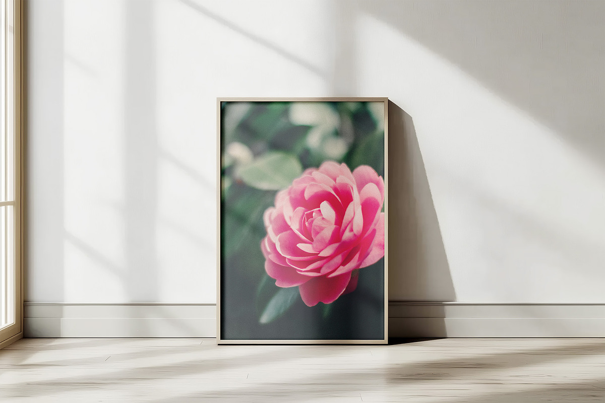 FlowerBloom - Fine Art Photography, a Photo by Marie Dumora (Photo 2 of 4)