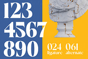 Night Roasty Modern Serif Font, a Script Font by timelesstype.co (Thumbnail 9 of 20)