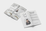 DL Brochure / Magazine Mockup, a Print Template by mahhyud (Thumbnail 11 of 11)
