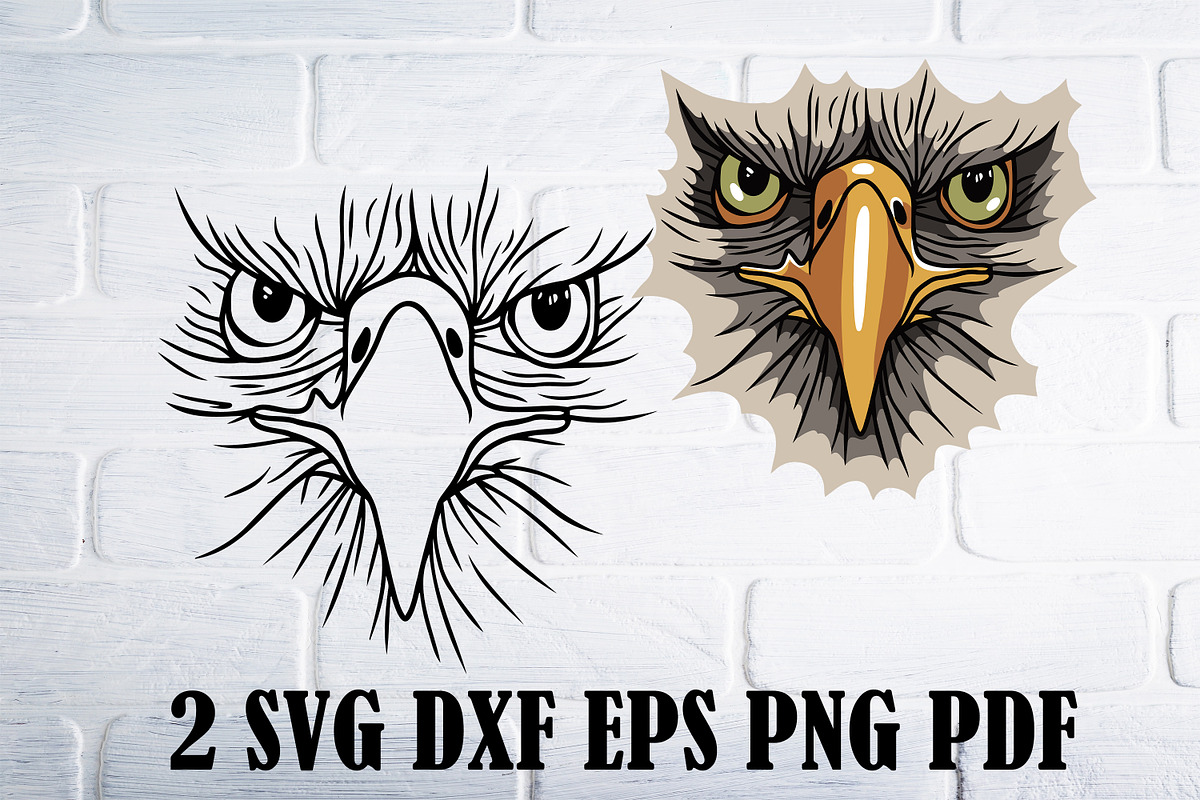 Eagle svg png dxf, bird clipart, an Animal Illustration by Bila Vorona (Photo 1 of 7)