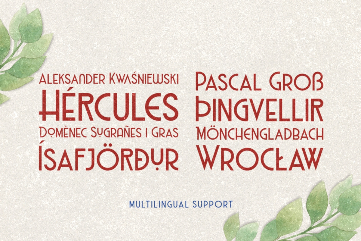 Haarlem Family | 3 in 1 Fonts preview 8