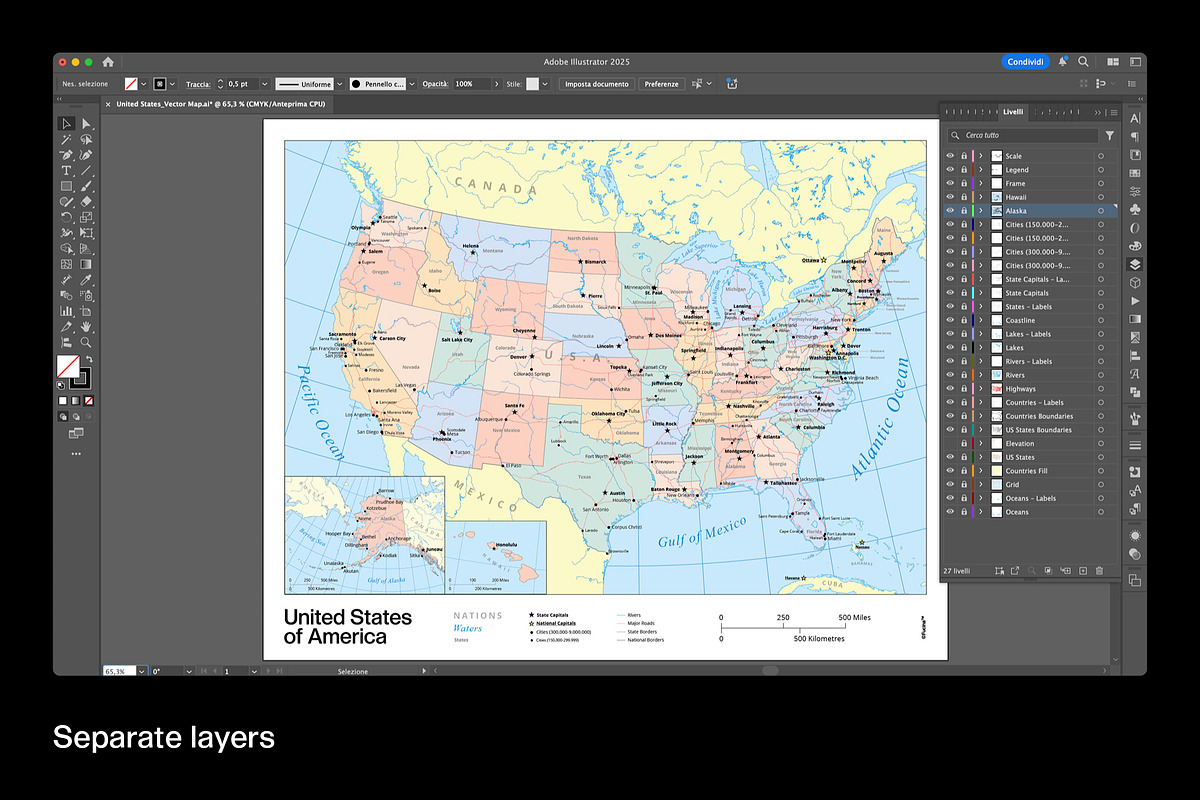United States Vector Map, a Work Illustration by Fucina™ (Photo 3 of 7)