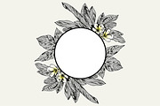 TROPIC set 2, a Decorative Illustration by Tanya Akhmett (Thumbnail 10 of 10)