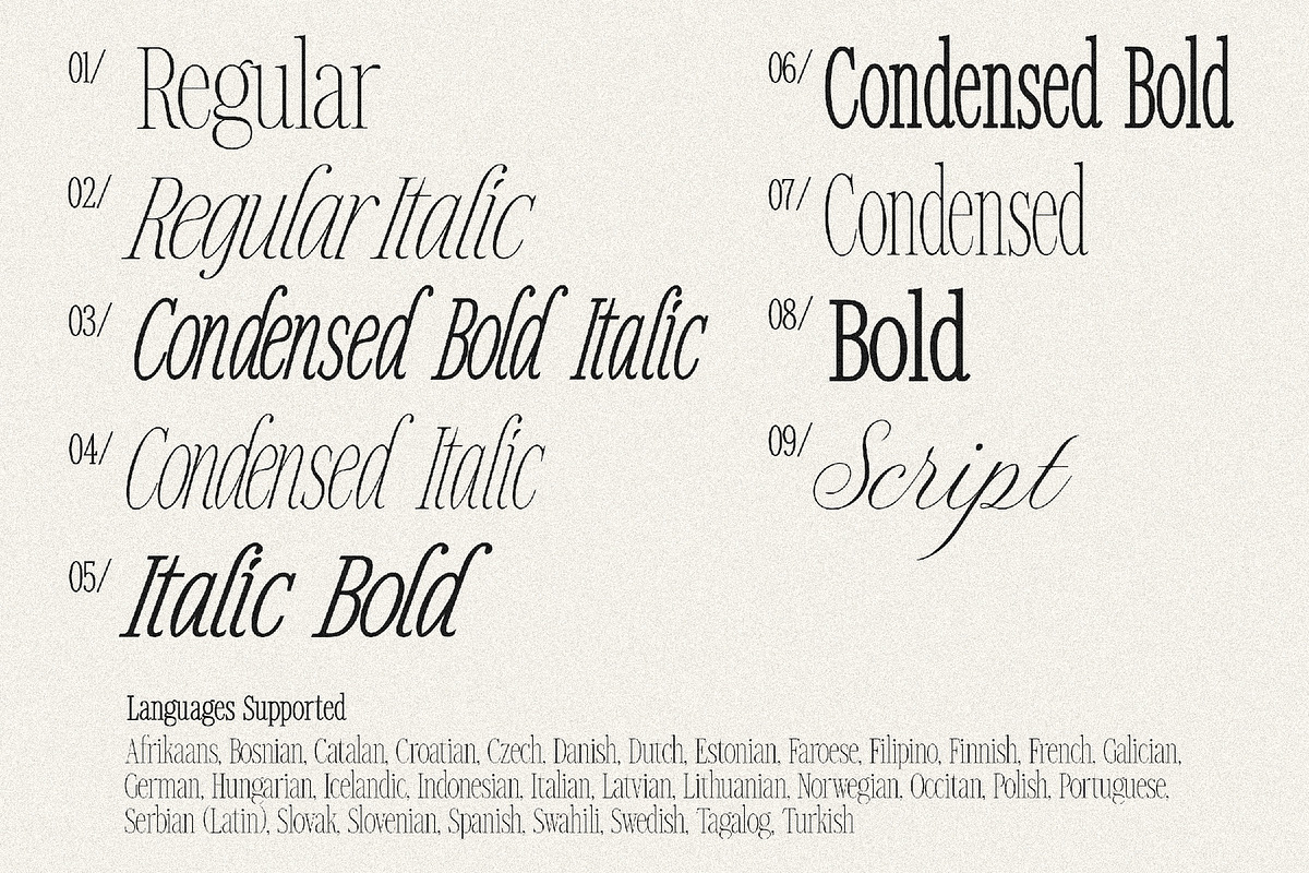 Timeless Editorial - Elegant Serif, a Script Font by AndrewPixelType (Photo 17 of 17)