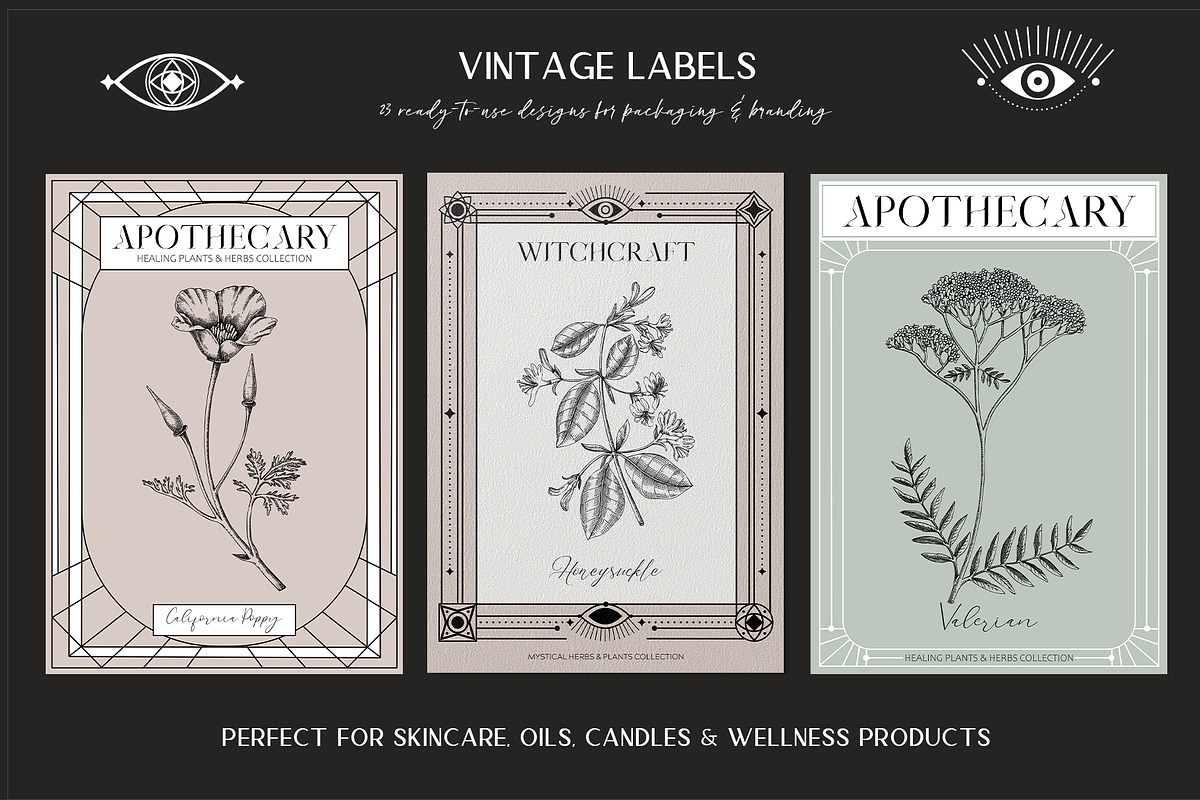 Vintage Apothecary Branding Bundle, a Healthcare Illustration by Yevheniia (Photo 10 of 11)