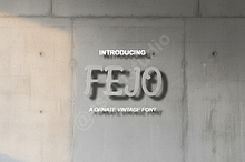 Fego - Elegant Modern Serif Font
