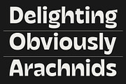 Facers, a Sans Serif Font by Adam Fathony (Thumbnail 13 of 18)