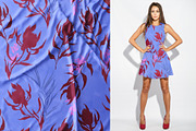 Daring Tropics. Summer Collection, an Object Illustration by Colden Blue (Thumbnail 8 of 12)