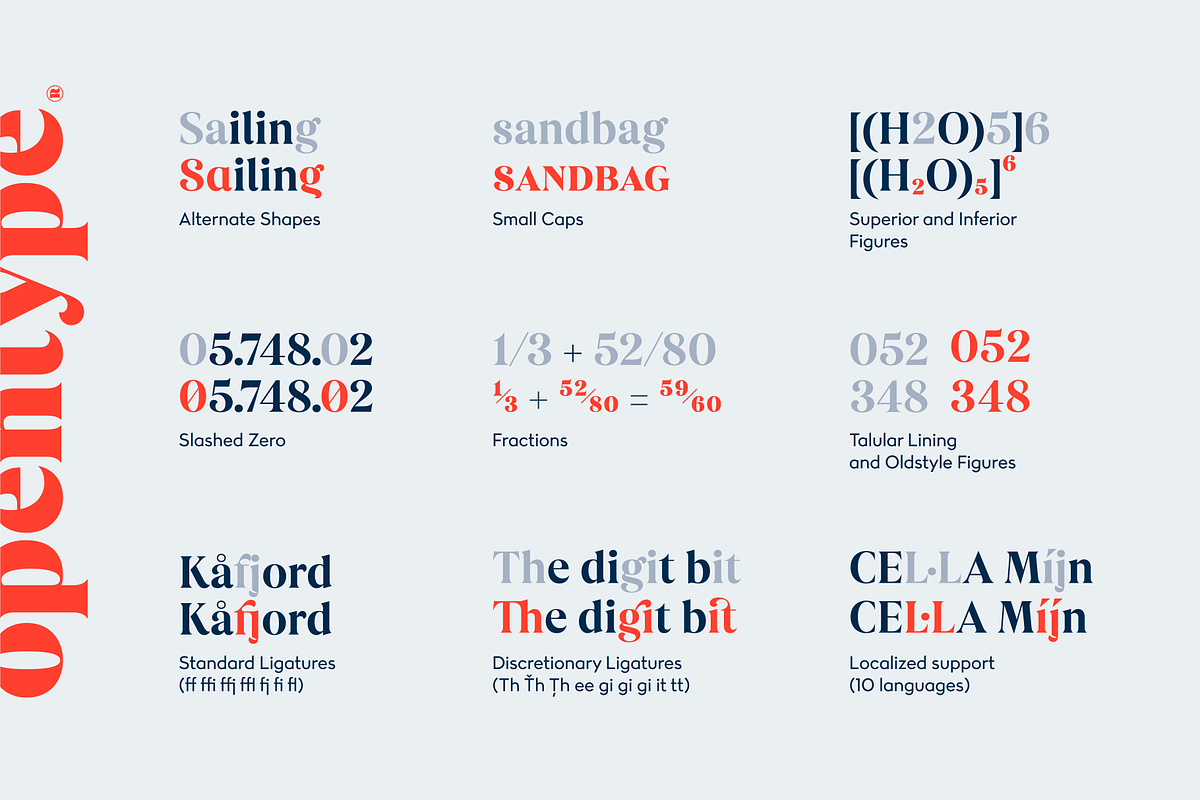 Dialecta Display, a Serif Font by Craceltype (Photo 9 of 9)