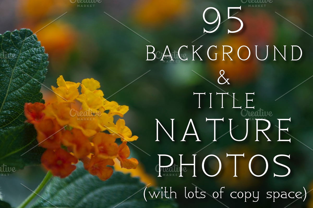 95 Background & Title Nature Photos, a Nature Photo by Marc Sandin Creative (Photo 5 of 5)