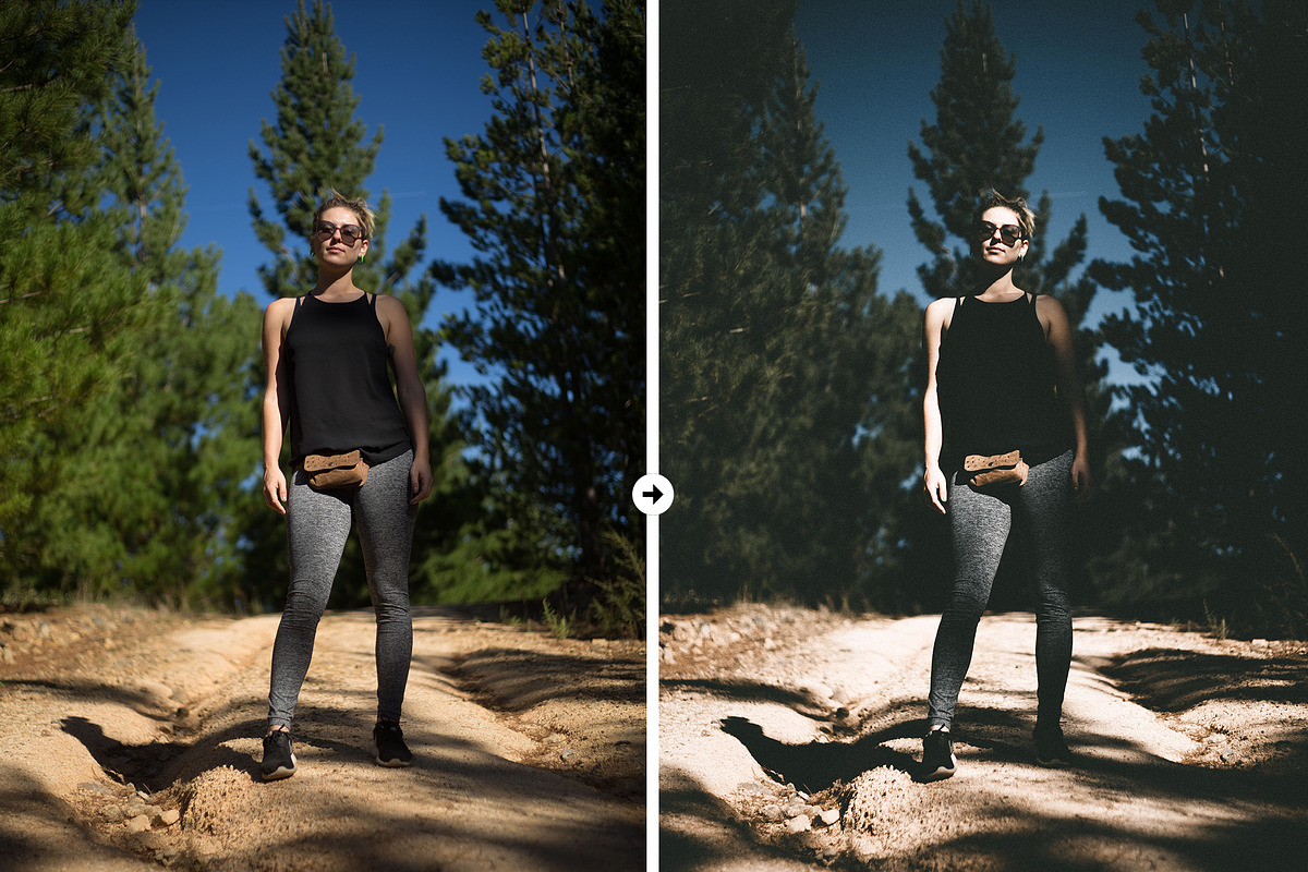 Forest VSCO-Like Lightroom Preset preview 3