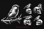 10 Bundle Dark Art Sparrow Bird, an Illustration by Morspective (Thumbnail 3 of 7)