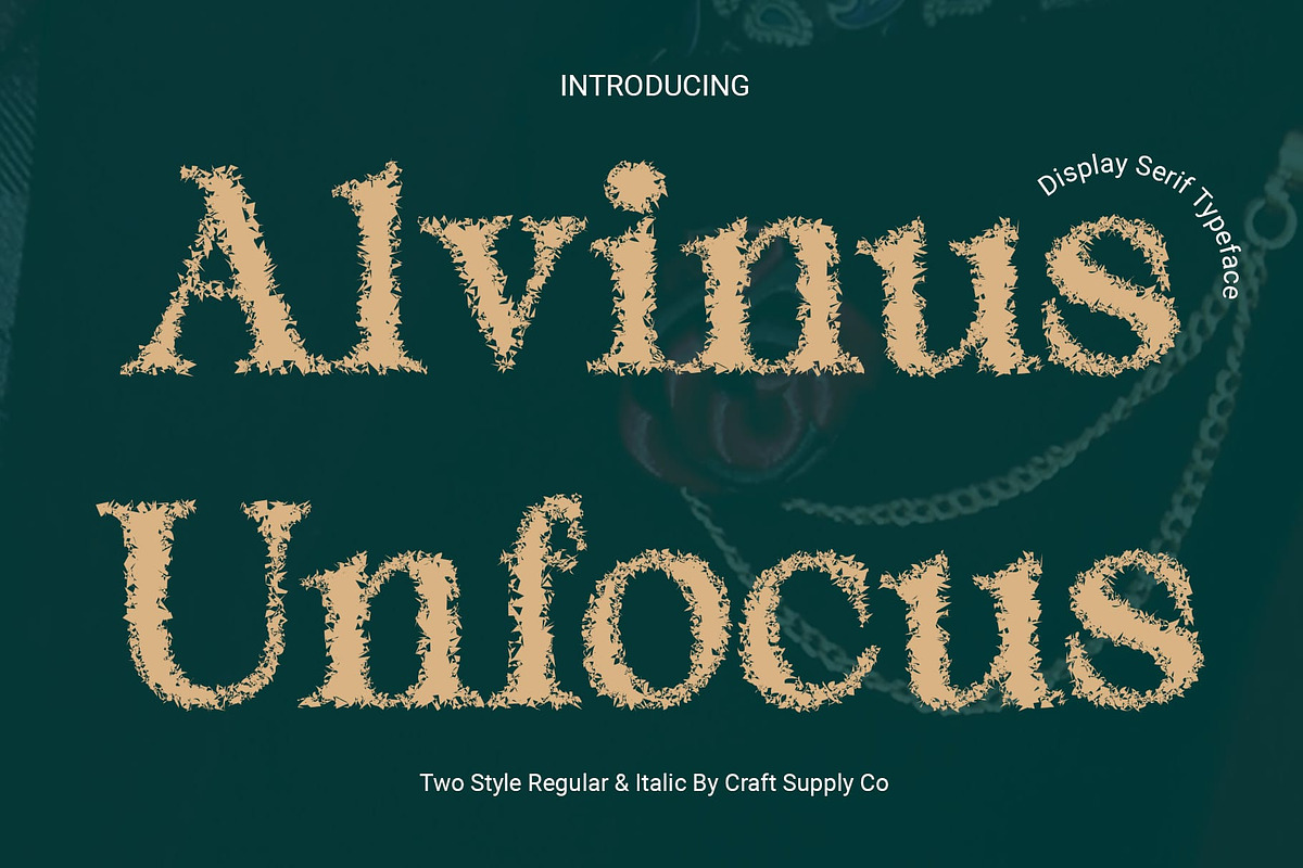Alvinus Unfocus, a Serif Font by Craft Supply Co. (Photo 1 of 8)