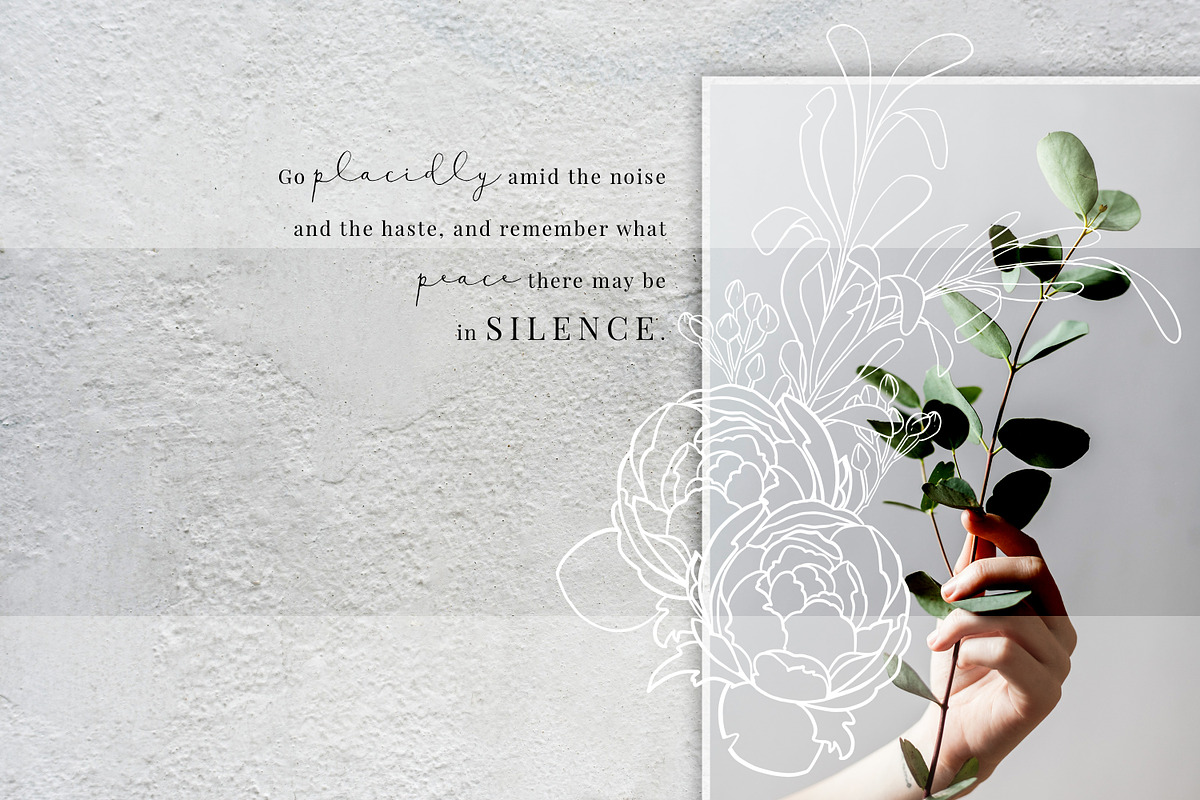 Floral line art in black, Peony, an Illustration by Personal Epiphany (Photo 3 of 5)