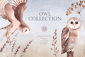 Watercolor Owl Collection