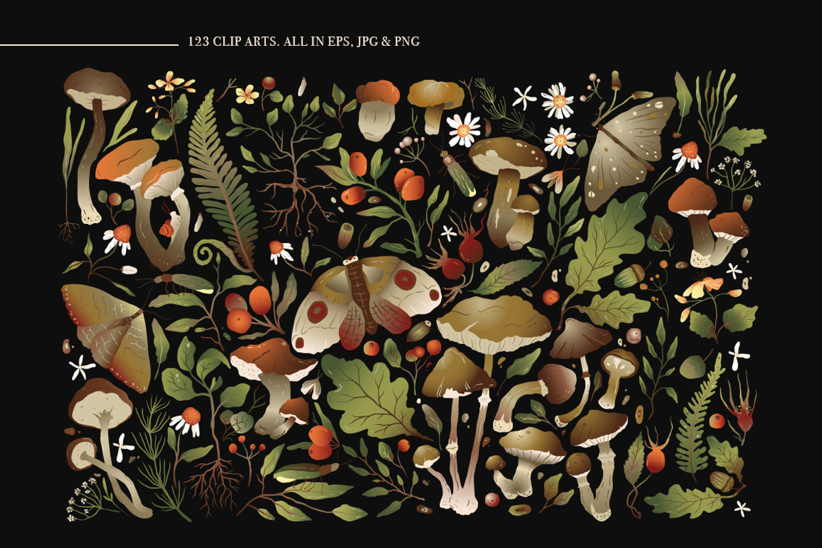 Autumn Forest. Big Graphic Set., a Decorative Illustration by Red Ink (Photo 3 of 10)