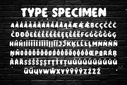 Strong Roar – Brush Font, a Handwritten Font by Fikryal Studio (Thumbnail 3 of 11)