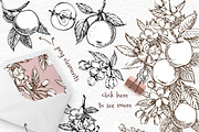 Apple Graphic & Watercolor clipart, a Healthcare Illustration by Ann Astro (Thumbnail 5 of 5)