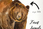 Forest animals watercolor clip art, an Animal Illustration by SandraGraphicDesign (Thumbnail 4 of 5)