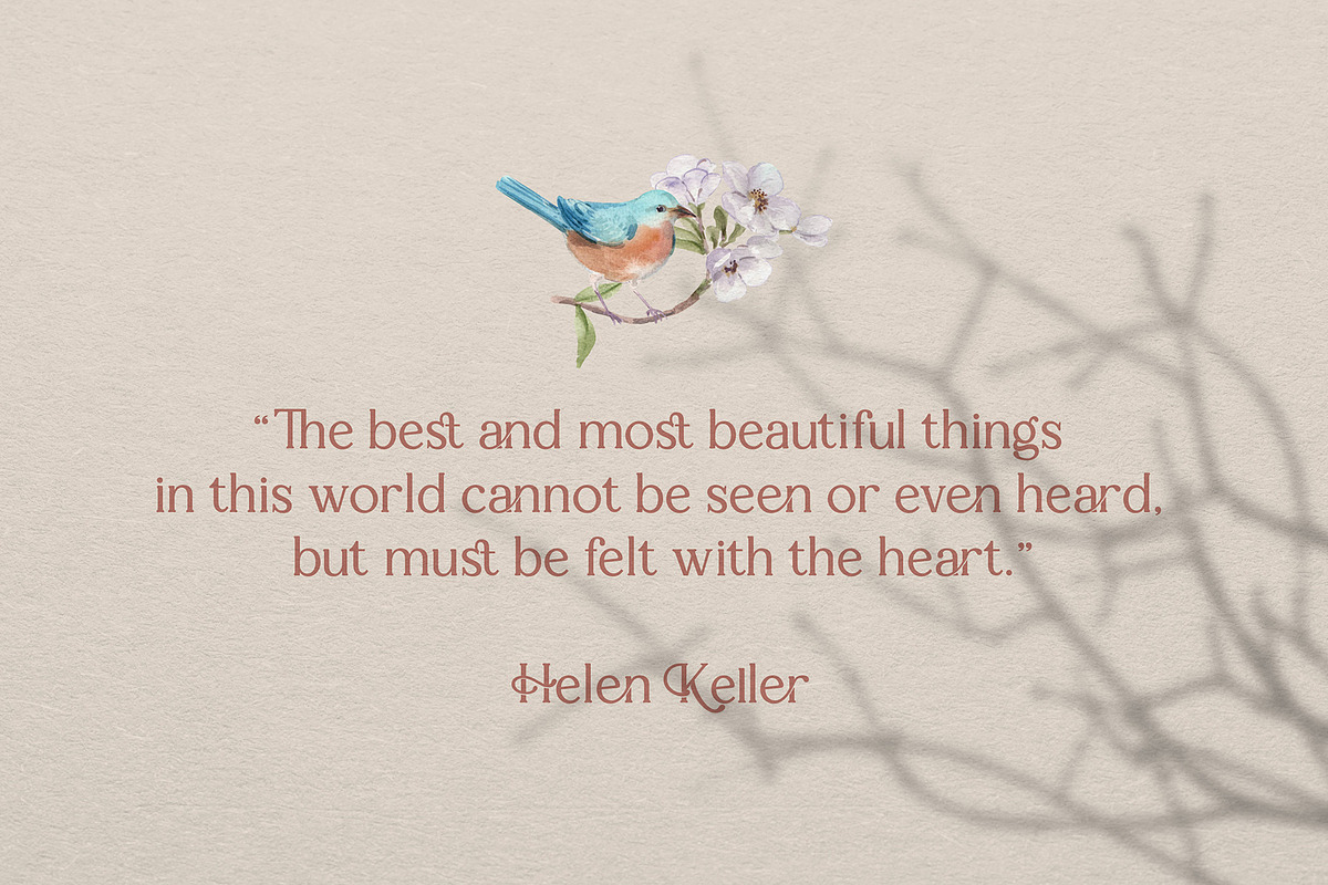 Sallenas Grandes|Elegant Serif Font, a Serif Font by Almeera Std (Photo 7 of 9)
