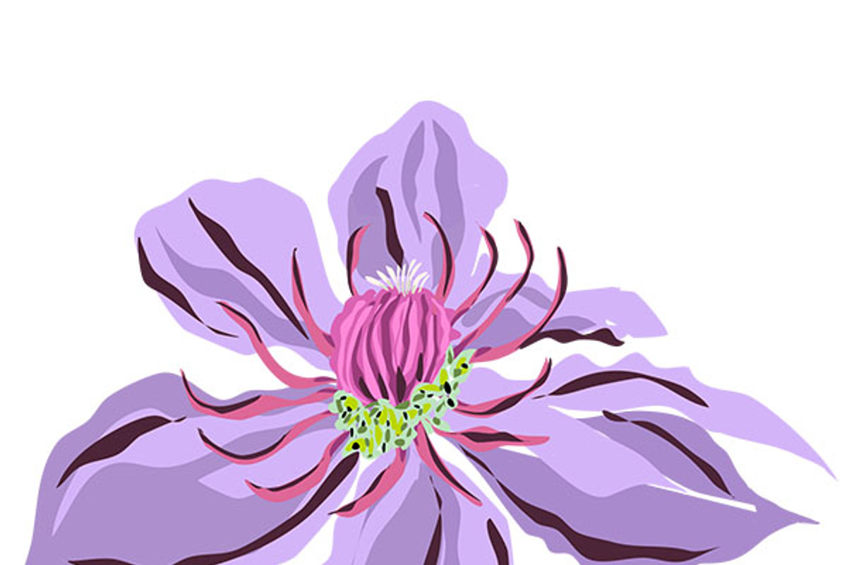 Flowers Clip Art Tropical, an Illustration by Karen Fields Design (Photo 2 of 3)
