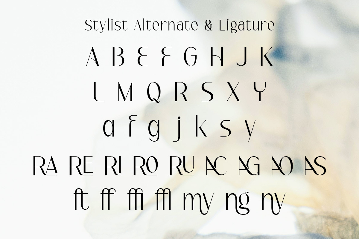 Serina - Modern Elegant Logo Font, a Sans Serif Font by roomspace creative lab (Photo 8 of 11)
