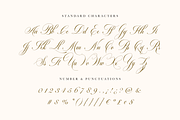 Robinsan - Premium Calligraphy, a Script Font by Silverdav (Thumbnail 13 of 16)