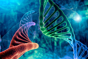 DNA strand and Cancer Cell Oncology