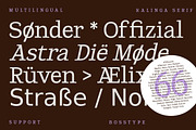 Kalinga | 91 Style Font, a Serif Font by Bosstype Studio (Thumbnail 11 of 15)