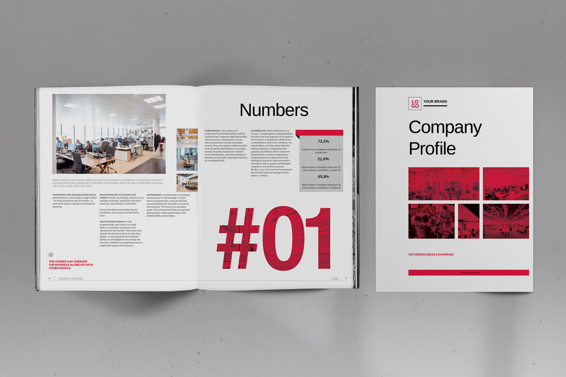 Company Profile Brochure Layout, a Brochure Template by Boris Cupac