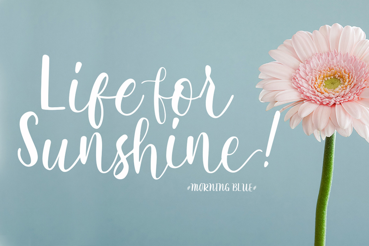 Rathyland Script Wedding Font preview 2