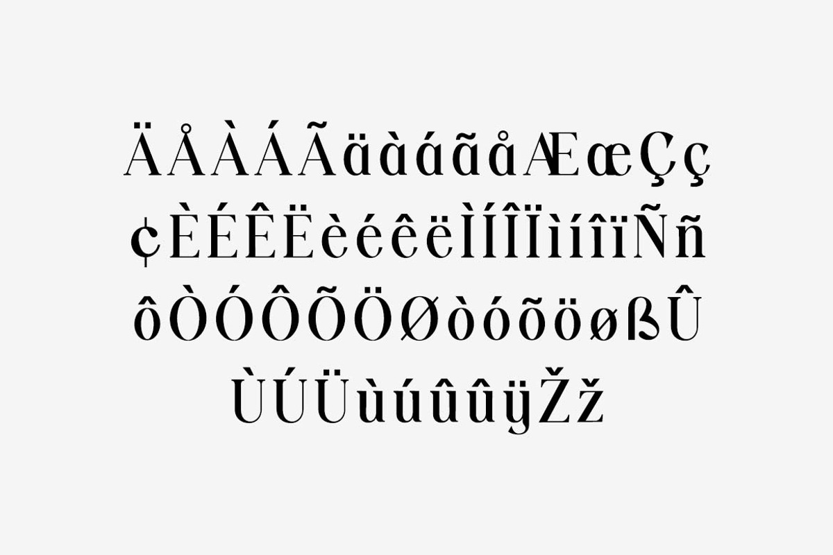 Vexford Quantum Serif Family Font, a Serif Font by UICreative (Photo 7 of 13)