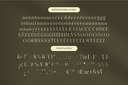 Qaisar Elegant Modern Serif, a Serif Font by timelesstype.co (Thumbnail 19 of 20)