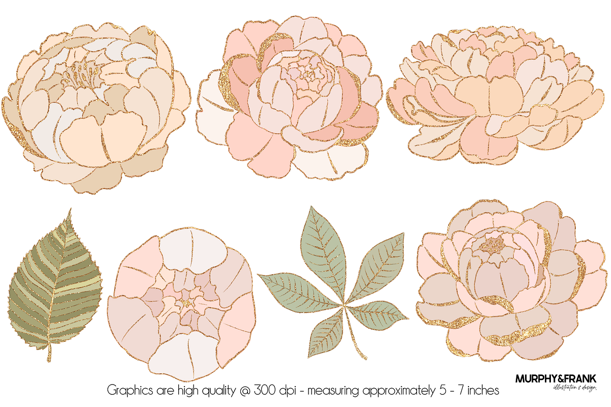 Peony Clipart Flowers Peonies, an Illustration by Murphy & Frank (Photo 2 of 5)