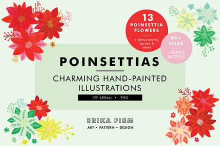 Poinsettia Illustrations