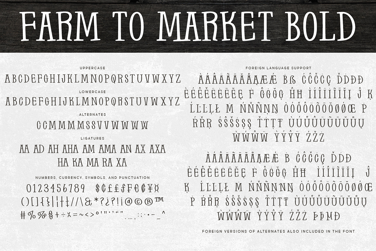Farm to Market, a Font by Brittney Murphy Design (Photo 4 of 6)