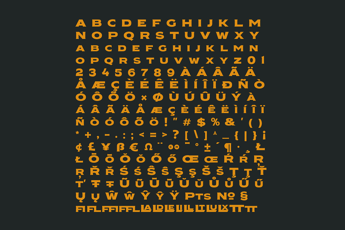Nakara Serif | Modern Seriface, a Serif Font by Kreuk Studio (Photo 7 of 8)