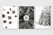 Winter Bundle 2, a Holiday Photo by Floral Deco (Thumbnail 5 of 7)
