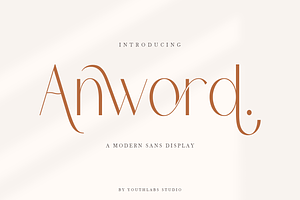 Anword | Modern Sans Display Font, a Sans Serif Font by Youthlabs Studio