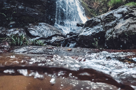 Waterfall In The Forest, a Nature Photo by Art Rachen